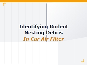 Detecting Rodent Nesting Debris in Your Car's Air Filter